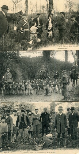 Chasse courre en - courre, forêt